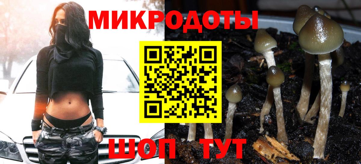 Ижевск  Псилоцибиновые грибы мухоморы  Вход с VPN 