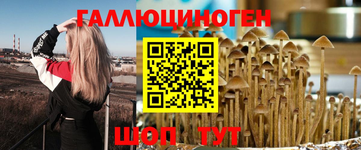 Псилоцибиновые грибы Cubensis Ижевск